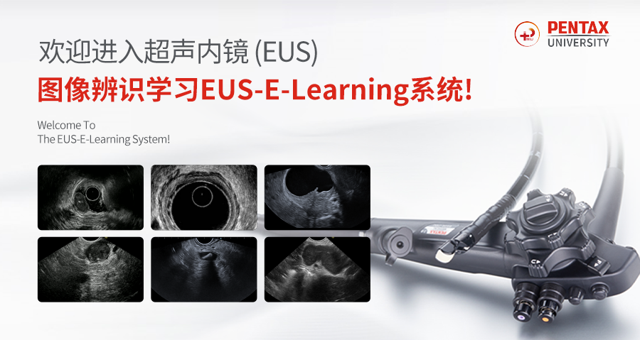 EUS-E-Learning